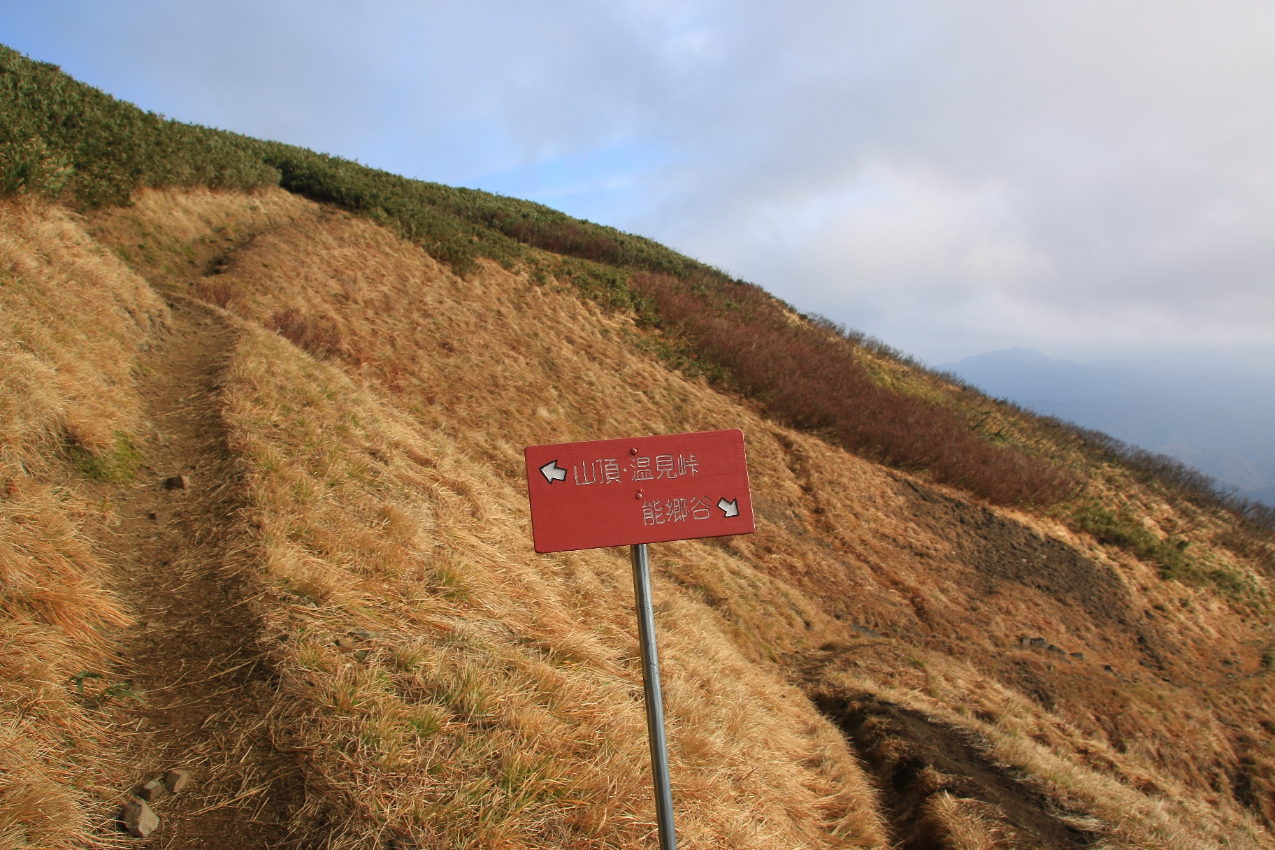 能郷白山 温見峠から 2021/11/21 山登りのページ ぶなぱう